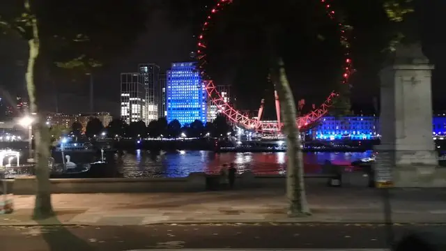London Eye lit up at night along the Thames River.