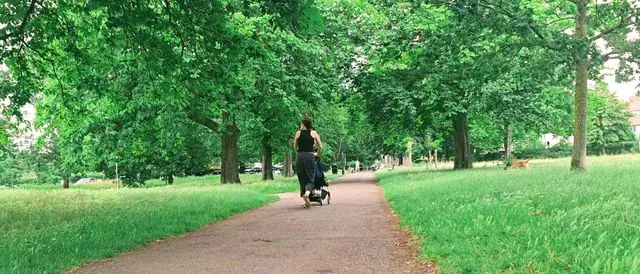 A peaceful walk in a lush green park with people strolling and trees.