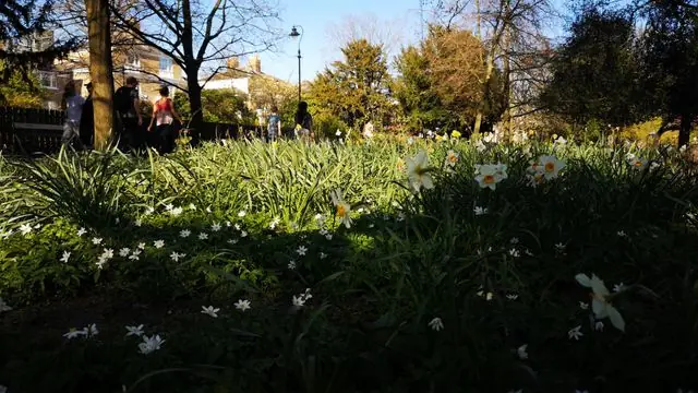 A garden with flowers and people walking on a sunny spring day.